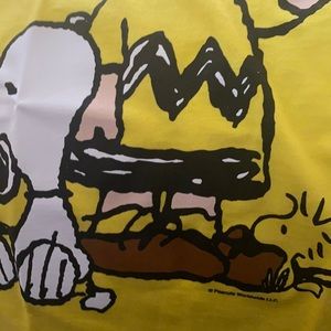 Peanuts shirts brand new size 2T